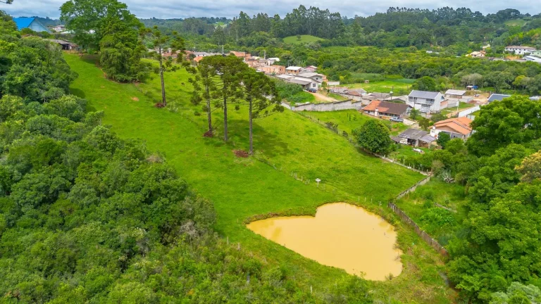 Imagem Chácara no Cercadinho Campo Largo 11.216m²