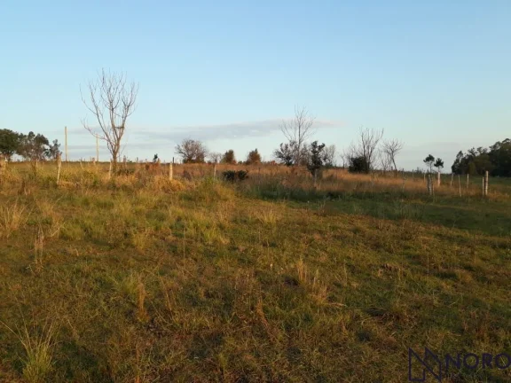 Imagem Oportunidade Única de Negócio! Terreno à venda na BR 158, Bairro Pinheiro Machad