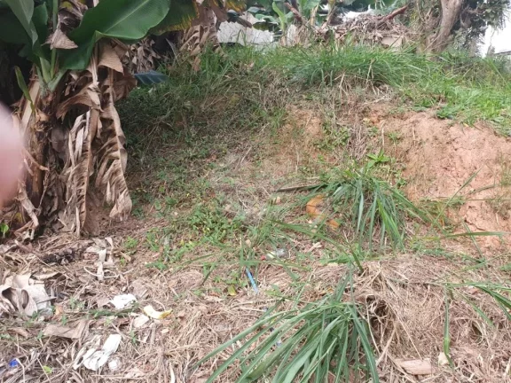 Imagem Terreno à venda em Butantã, São Paulo - SP
