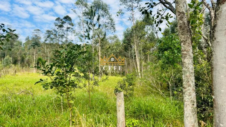 Imagem Chácara - Sítio com 1 Dormitorio(s) localizado(a) no bairro Zona Rural em Araricá / RIO GRANDE DO SUL Ref.:1585