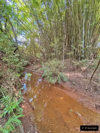 Imagem Sítio à venda na Região de Atibaia/SP - 33.000m² por R$999.000!