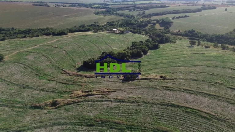 Imagem Fazenda Top 243 Ha alta produtividade em Piracanjuba GO