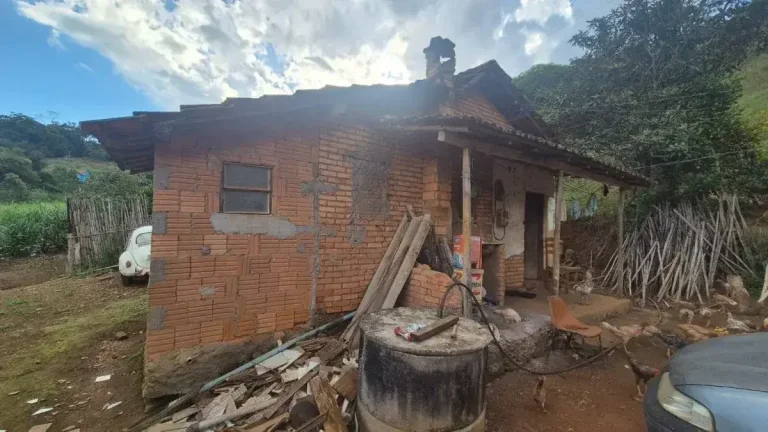 Sítio Encantador com Pomar, Solo Fértil e Construção Rústica em Antônio Carlo