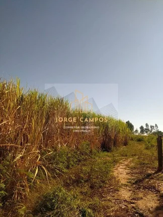 Imagem FA-25233 - FAZENDA À VENDA NA MESORREGIÃO DE RIO PRETO - SP
