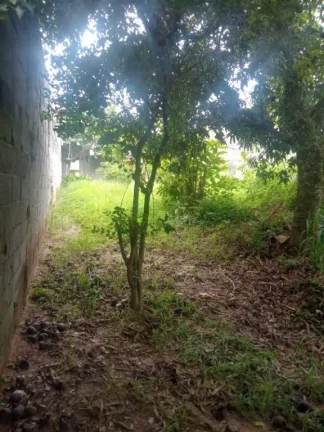 Imagem Terreno para alugar, 350 m² por R$ 2.000,00/mês - Vila do Americano - Ferraz de Vasconcelos/SP