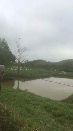 Imagem VENDO FAZENDA COM 30 ALQUEIRES EM SILVA JARDIM, AGUA POR GRAVIDADE