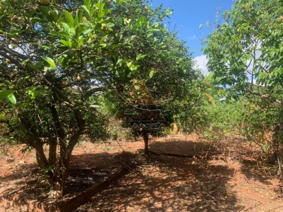 Imagem Terreno - Brodowski - Jardim Champagnat