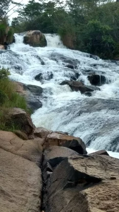 Imagem FAZENDA A VENDA EM ORIZONA-GO
