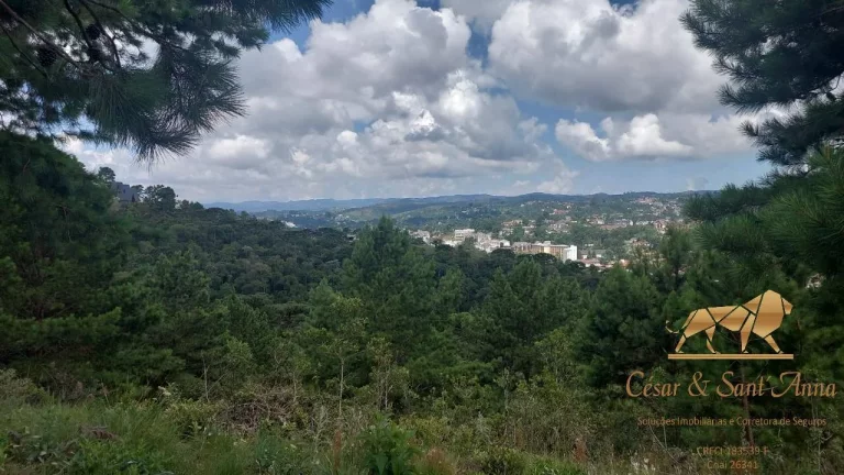 Imagem BELOS TERRENOS A VENDA EM CAMPOS DO JORDÃO-SP