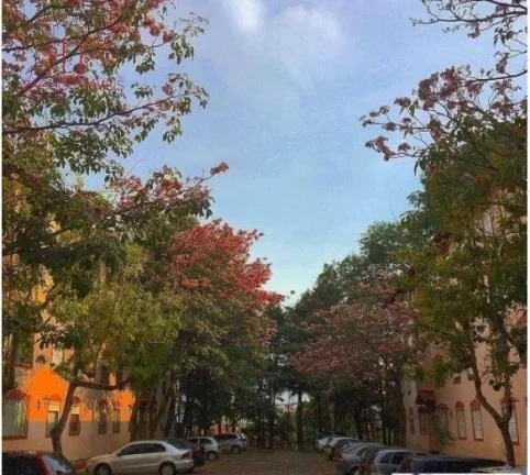 Imagem BELÍSSIMO APARTAMENTO NO MORUMBI SUL COM 2 DORMITÓRIOS - 54m² -