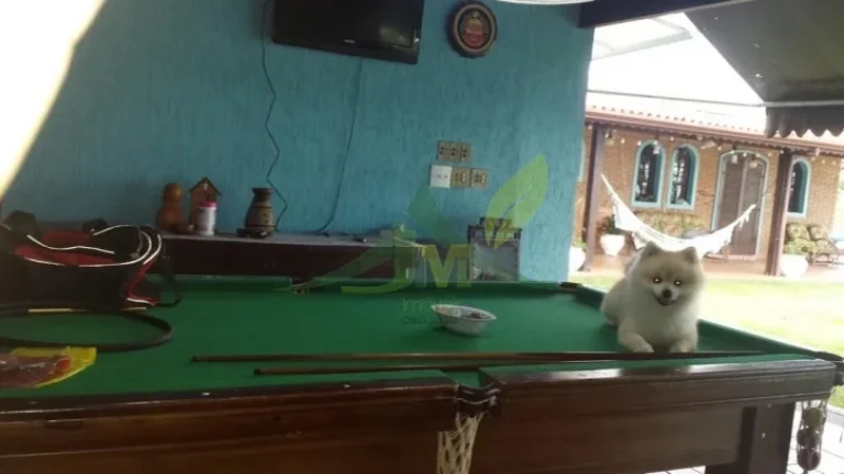 Imagem Encante-se com Esta Chácara Exclusiva em Atibaia, a Apenas 3 km do Asfalto!