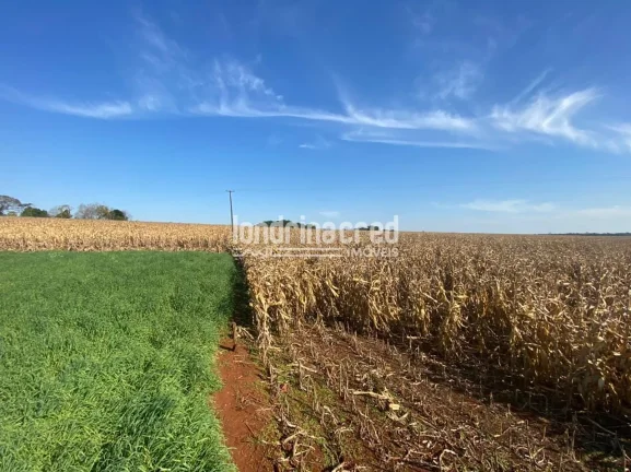Imagem Chácara à venda Zona Rural, Serranópolis do Iguaçu - PR