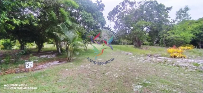 Imagem BELÍSSIMA ÁREA PARA CONDOMÍNIO EM SANTO ANDRÉ BAHIA