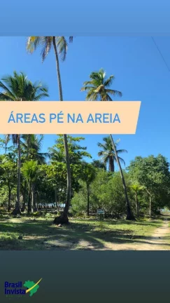 Imagem ÁREA PÉ NA AREIA NO EXTREMO SUL DA BAHIA