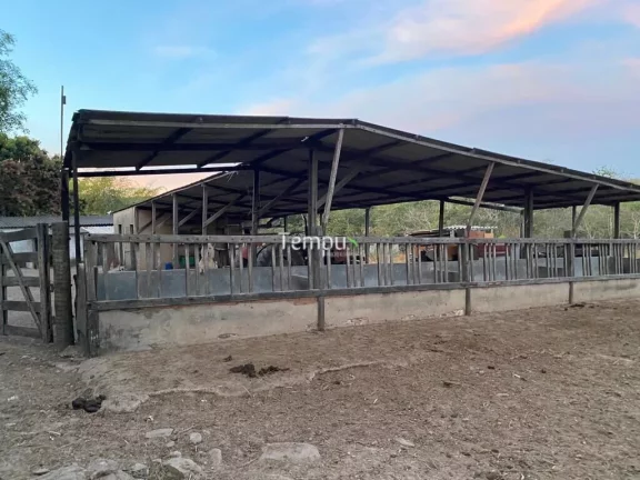 Imagem Fazenda zona Rural São Miguel do Passa Quatro, 175 ha, - GO, 36,1 Alqueires