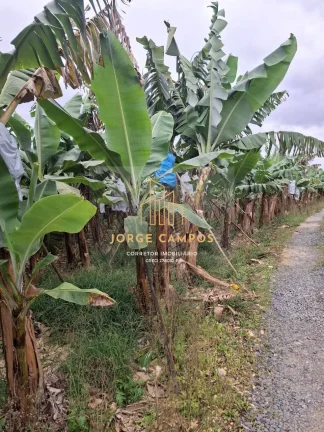 Imagem SI-25254 - SÍTIO À VENDA EM SETE BARRAS-SP