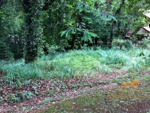 Imagem Terreno à venda, 2450 m² Capivari - Campos do Jordão/São Paulo