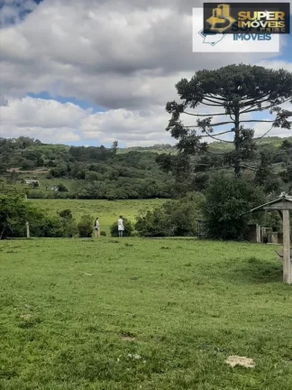 Imagem Sítio para Venda em Centro Morro Redondo-RS - 1645