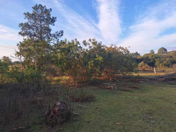 Imagem Terreno à Venda – Morro Grande, Águas Claras – Viamão/RS