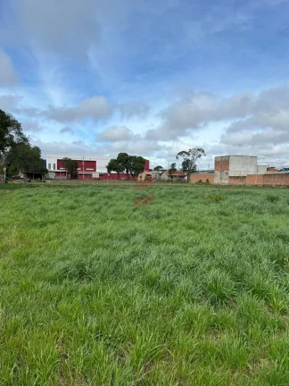 Imagem TERRENO à venda com 15924m² por R$ 6.370.000,00 no bairro Planta Santa Lúcia - PIRAQUARA / PR