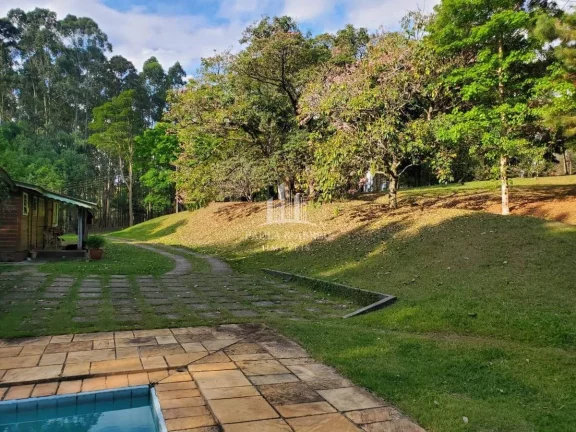 Imagem Sitio de 56.720m² 3 Dorms, 1 Suíte, Escritura, nascente, Piscina, 1 ha com Pinos 15 anos, Poço Semi-Artesiano(2.000l/h), 350 mts de testada, Alambrado, em Bragança Paulista