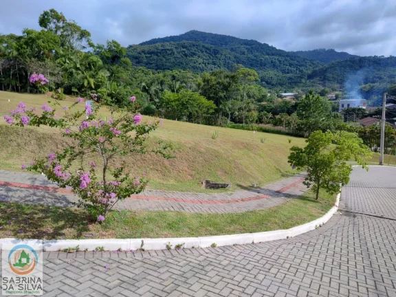 Imagem Lote/Terreno - Itoupavazinha - Blumenau