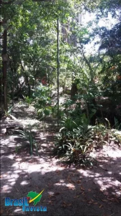 Imagem LINDA ÁREA EM CABRÁLIA