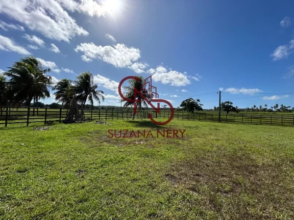 Imagem Fazenda residencial á venda em Nísia Floresta com 37 hectares