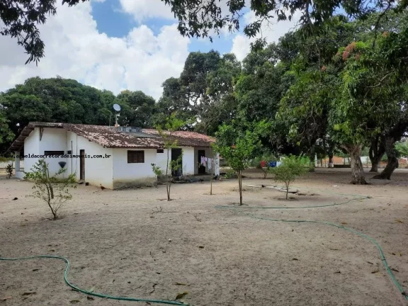 Imagem Granja para Venda em Macaíba, Centro, 2 dormitórios, 3 banheiros, 9 vagas