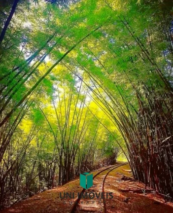 Imagem Lindo sítio em Santa Isabel - Domingos Martins - Oportunidade de Negócio