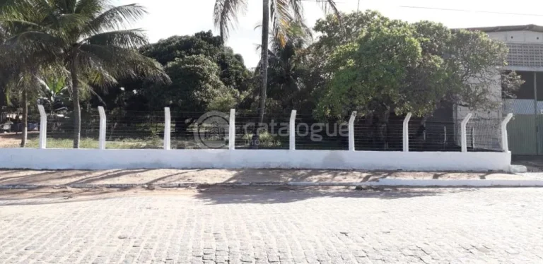Imagem Chacara a venda em são josé de mipibu - BR 101