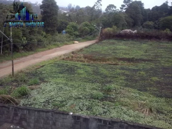 Imagem TERRENO 4.086m², RESIDENCIAL, LIMPO NA GRAMA, KM 39.