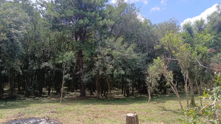 Imagem Terreno com 7260m2 no Centro de Fernandes Pinheiro