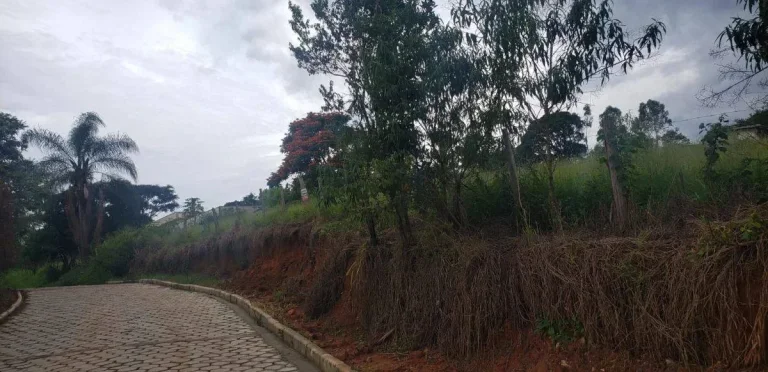 Imagem Lote à venda – 5.334,41 m2 – Colônia Rodrigo Silva