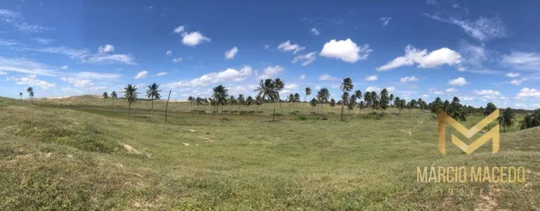 Imagem Terreno à venda, 6258000 m² por R$ 200.000.000,00 - Zona Rural - Itapipoca/CE