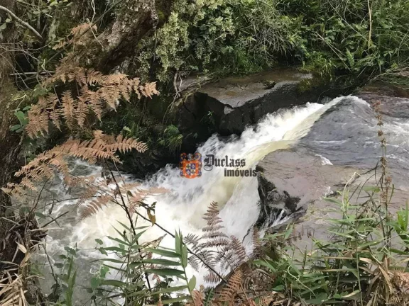 Imagem Sítio à venda, 200000 m² por R$ 2.500.000 - Rio do Engano - Urubici/SC