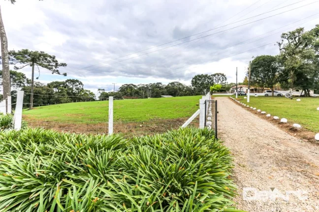 Imagem Sitio maravilhoso com 10,51 hectares - a 200m do Mercado 4 irmãos - Fazendinha - c/ Escritura e Registro - Rio Negro.