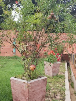 Imagem Chácara Rústica dos Sonhos – Natureza, Conforto e Praticidade Urbana em um Só Lugar!