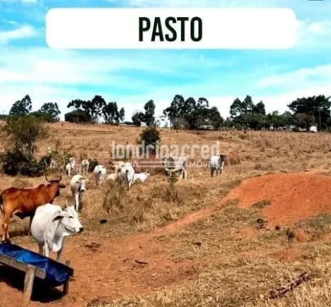 Imagem Sítio à venda, Flamenguinho, Ibaiti, PR