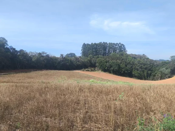 Imagem Chácara 2 Alqueires Bolinete