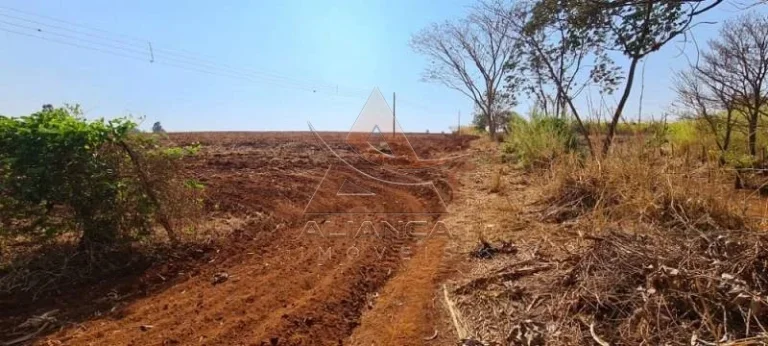 Imagem Área - Brodowski - Brodowski