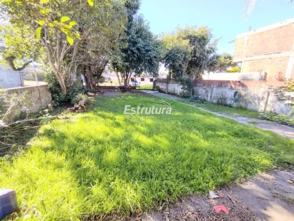 Linda casa na Pinheiro Machado com amplo espaço de pátio e pomar e também 2 dorm