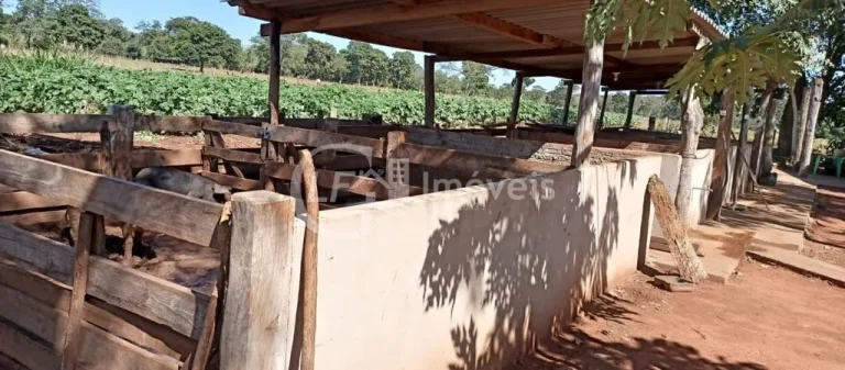 Imagem Chácara à venda em Terenos-MS, Zona Rural: 5 quartos, 1 suíte, 2 salas, 3 banheiros, 180m² de área!