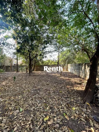 Imagem Casa com 2 dormitórios, 950 m² total, por R$ 850.000 - Vila Alemã - Rio Claro/SP