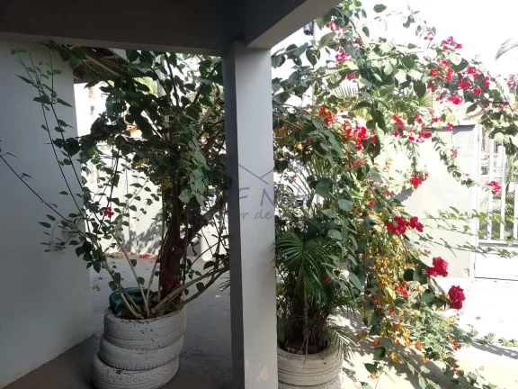 Imagem Casa Padrão