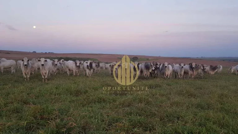 Imagem Fazenda à venda, 49464800 m² por R$ 511.000.000,00 - Centro - Pompéia/SP