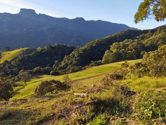 Imagem Legado e Exclusividade: Vinícola Particular no Alto da Boa Vista com 137.000 m² e Vista Panorâmica