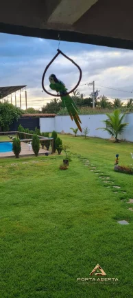 Imagem Casa com 450 m2 em terreno de 1500 m2 - Bairro Porto Seguro - COD 728