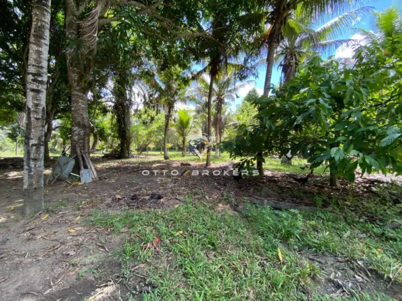 Imagem SITIO RURAL em SANTA CRUZ CABRÁLIA - BA, BR 367