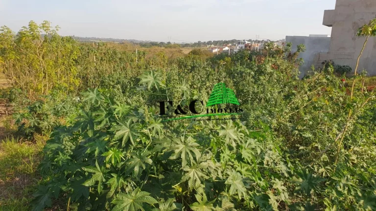 Imagem Terreno para Venda em Limeira, Residencial Colinas do Engenho I
